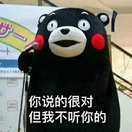 立而方笨笨熊