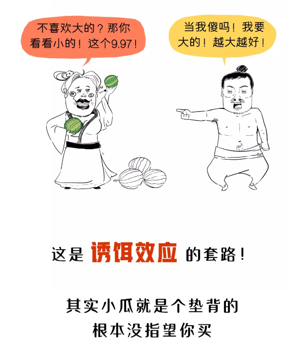 活动方案